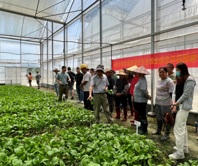 科技支撑！广东省农科院蔬菜所专家赴增城举办蔬菜新品种新技术培训展示会