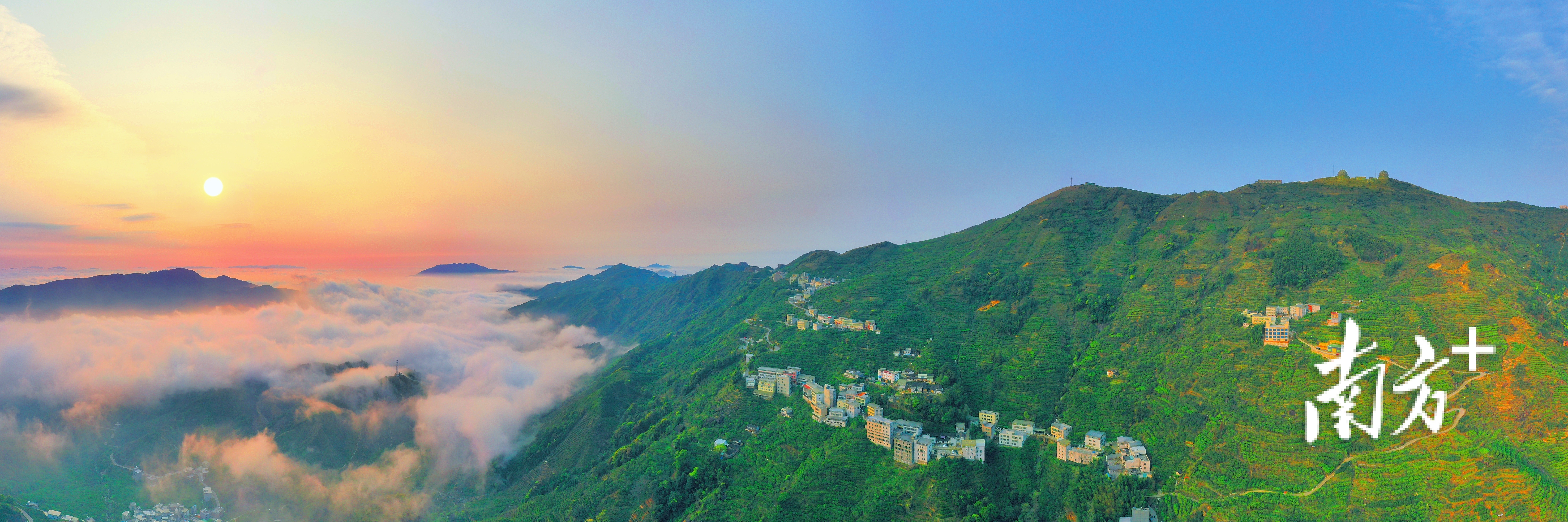 凤凰茶乡。林奕波 摄