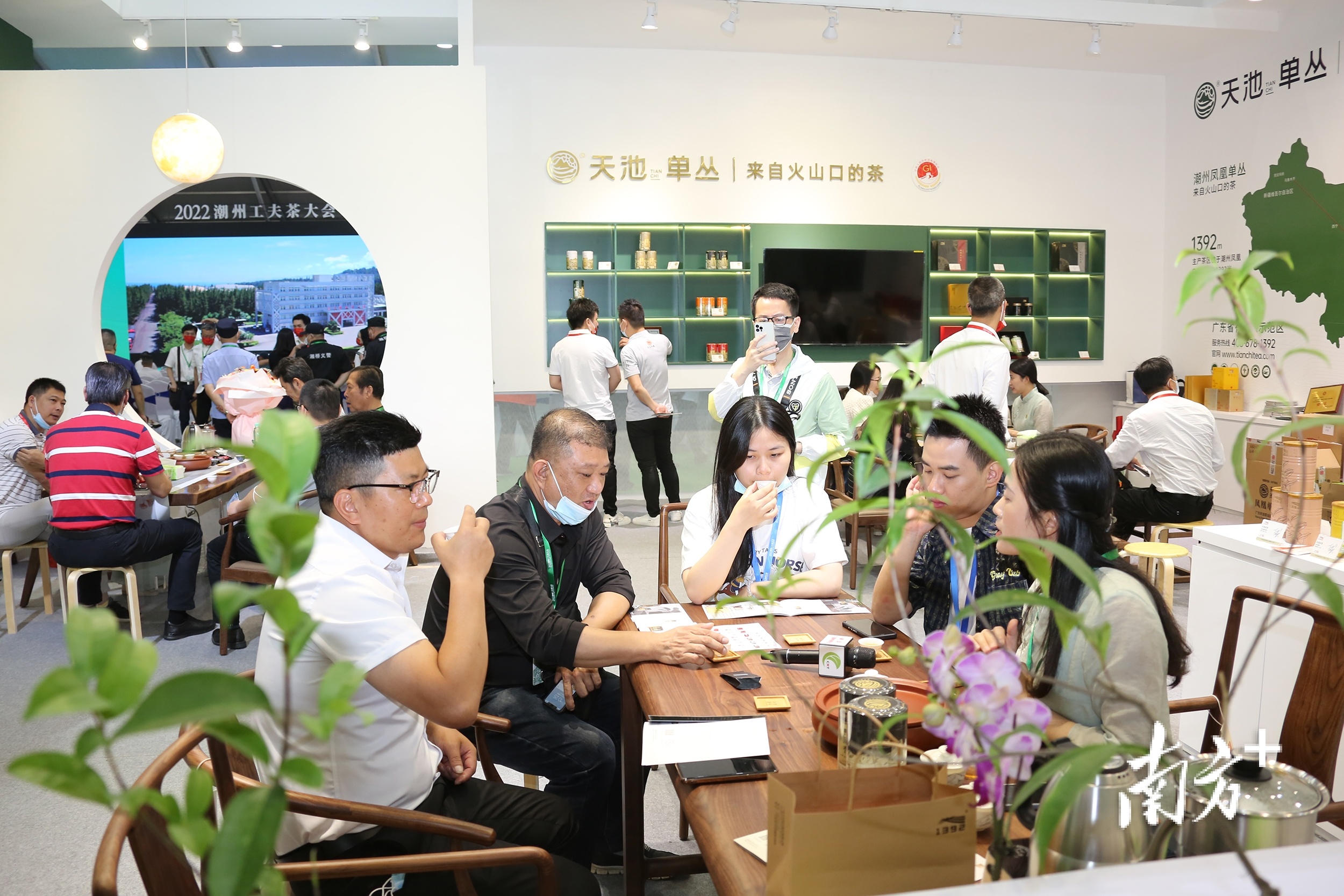 南方+ 纪金娜 拍摄