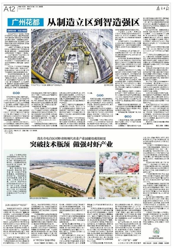 南方日报专题报道电白对虾产业园。 南方日报专题报道电白对虾产业园。