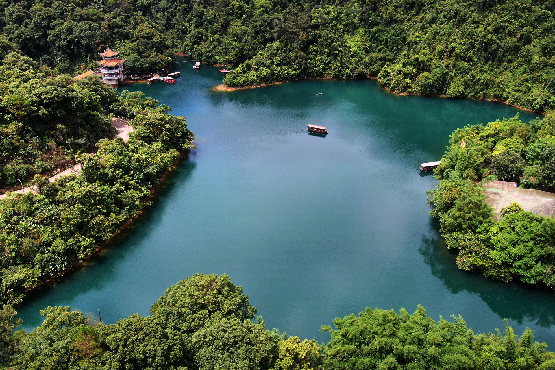 生物多样性如何保护肇庆鼎湖山自然保护区来打样