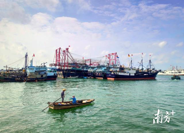 5月18日,湛江霞山渔港丽日晴空,渔船停泊休整.陈永锋 摄