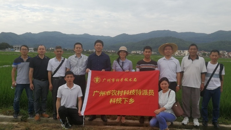 省农科院水稻研究所专家赴增城丝苗米原产地开展科技对接活动