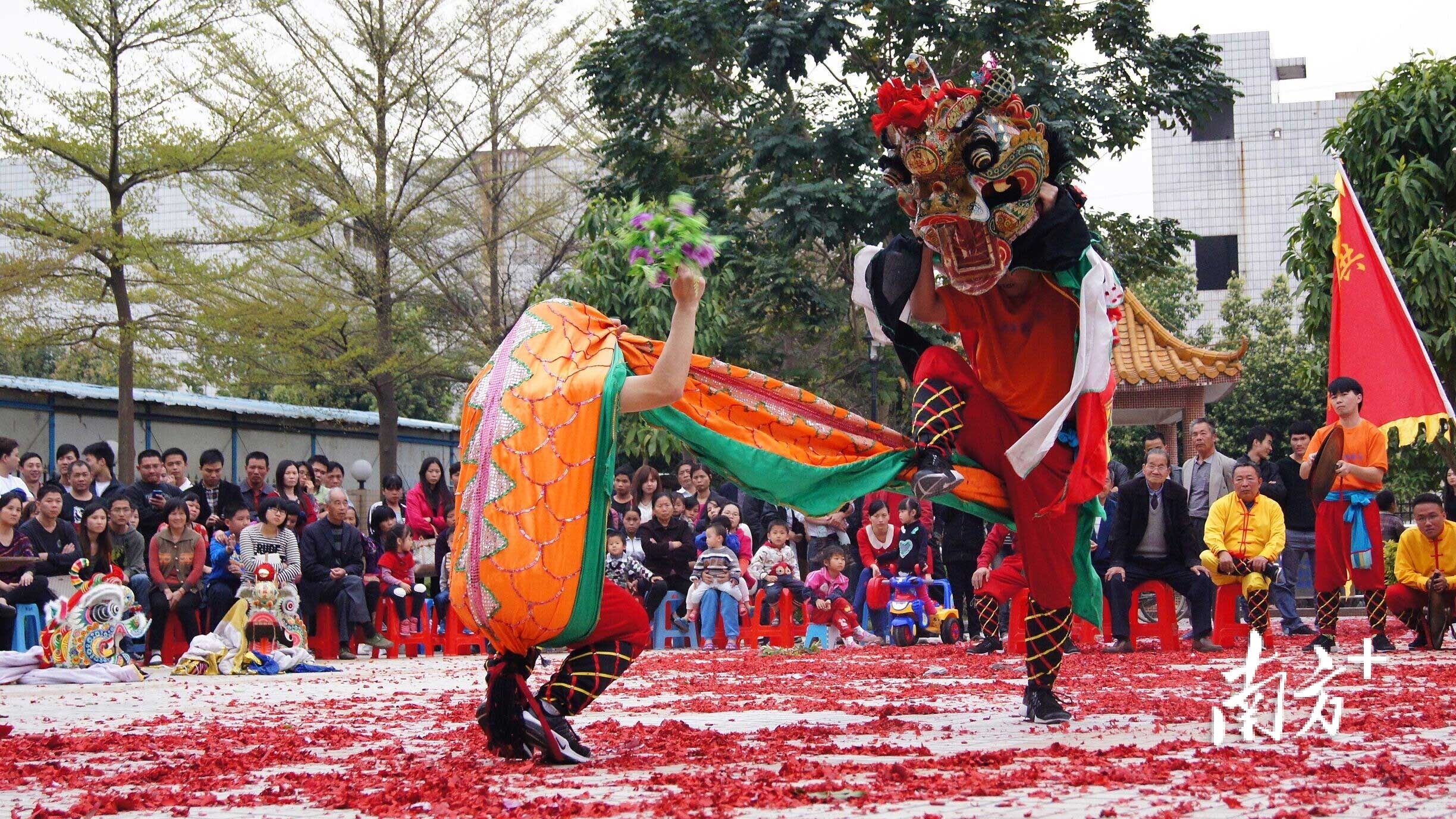 近日,广东省人民政府公布第八批省级非遗代表性项目名录,凤岗镇竹塘村麒麟舞成功入选传统舞蹈类项目。