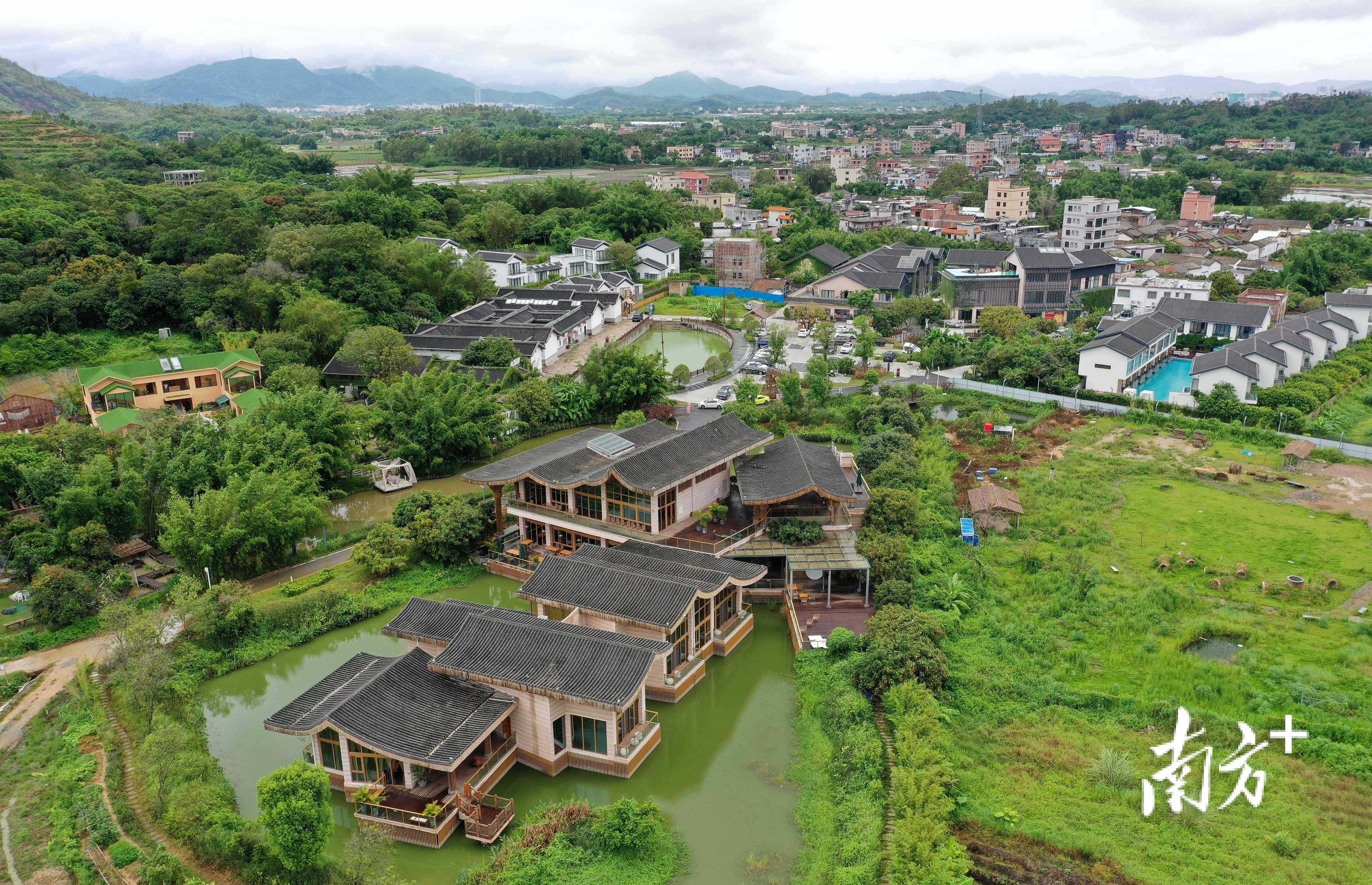 惠阳区良井镇矮光村引进企业开发乡村旅游,带领村民共同致富