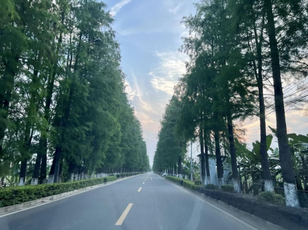南沙湴湄｜遇星辰大海，品香云软纱