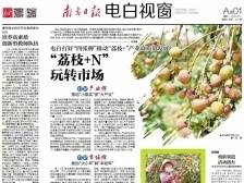 电白：“荔枝+N”玩转市场 |速览《南方日报·电白视窗》77期