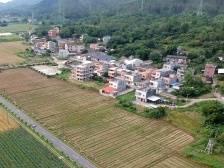 南方观察|释放三产融合乘数效应，提高惠州农业整体竞争力