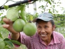 韶关南雄：新时代，新生活，日子越过越红火