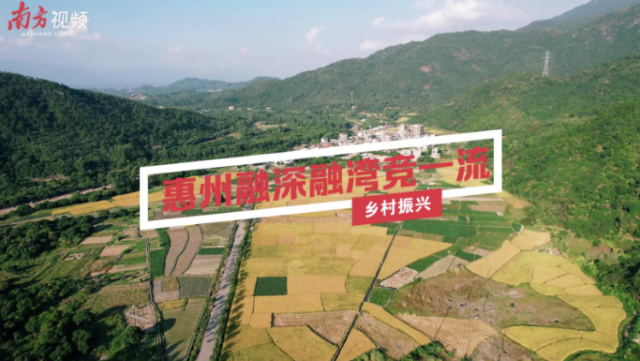 南方视频｜惠州：乡村振兴