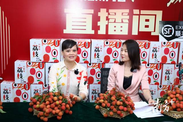 遂溪县委常委、副县长陶媚在直播间推介“仙品荔”。