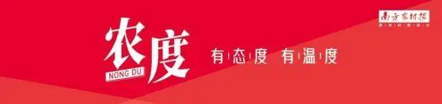 农度丨从南到北，能让全村出动的，是一场篮球赛
