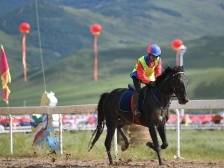 美丽的草原我的家——沿着总书记的足迹之内蒙古篇