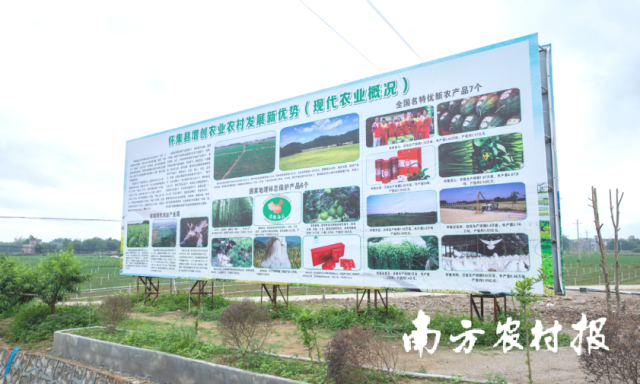 近年来,怀集县正高标准建设粤港澳大湾区肇庆(怀集)绿色农副产品集散基地。谭家富 摄 近年来,怀集县正高标准建设粤港澳大湾区肇庆(怀集)绿色农副产品集散基地。谭家富 摄