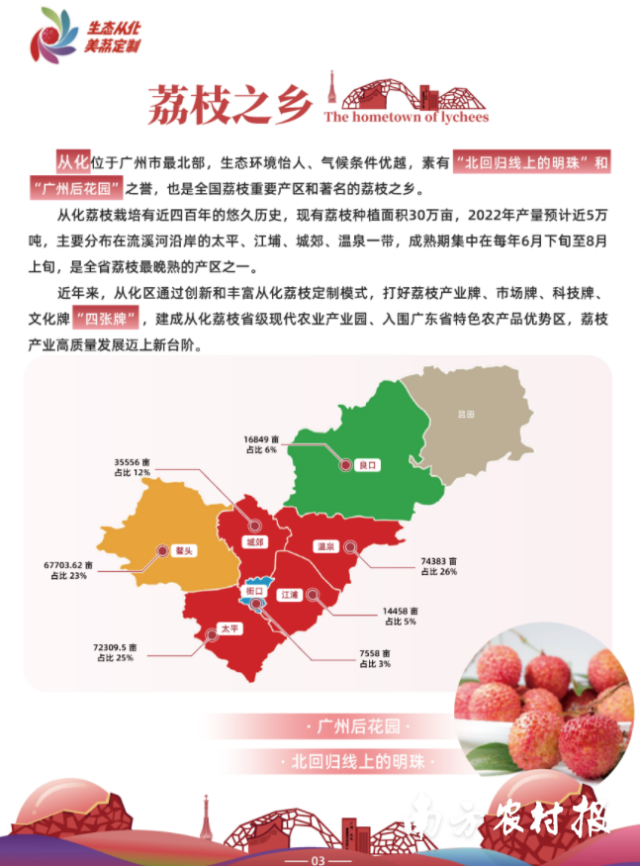 从化荔枝导购手册。 从化荔枝导购手册。
