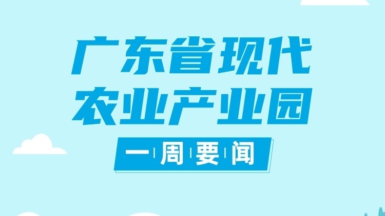农业农村部举行2022年国家产业园绩效中期评估约谈视频会|现代农业产业园一周要闻⑩