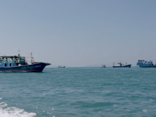 深圳大鹏新区：原创非遗宣传MV《草龙飞舞吉祥来》