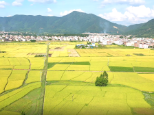 云浮新兴，好有“米”