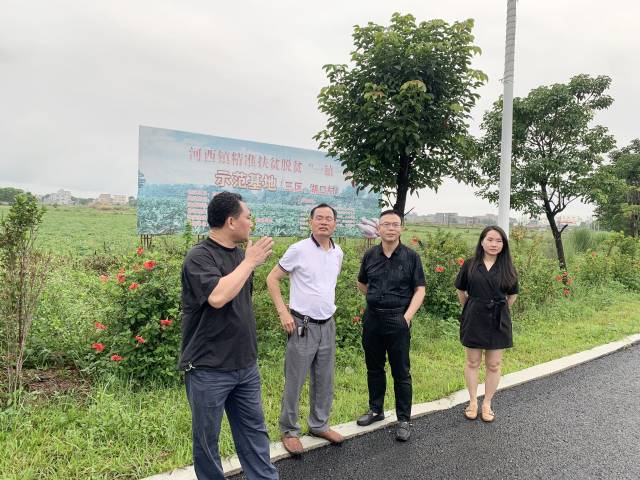 陆丰速度！陆丰黄牛产业园全面加速建设，种群繁育、食品加工、文化馆、主题餐厅等项目进展神速