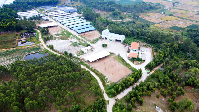 陆丰黄牛产业园核心示范区-种群繁育基地