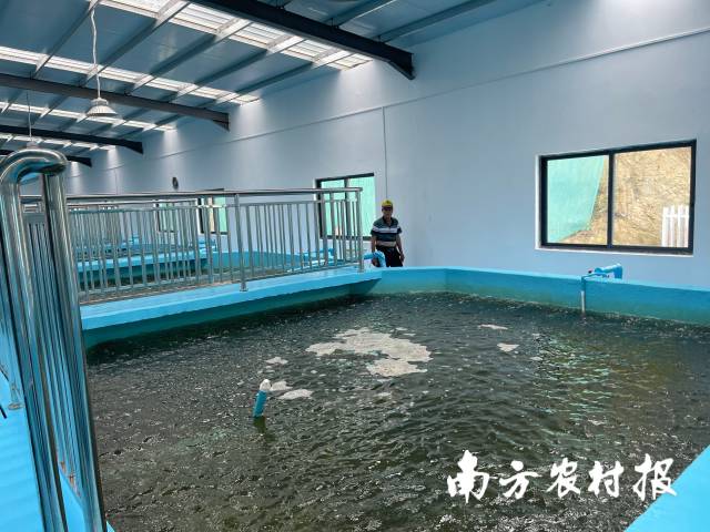 0  南方农村报 孙岁寒 拍摄