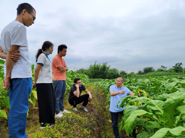 专家教授深入田间指导柑橘生产管理
