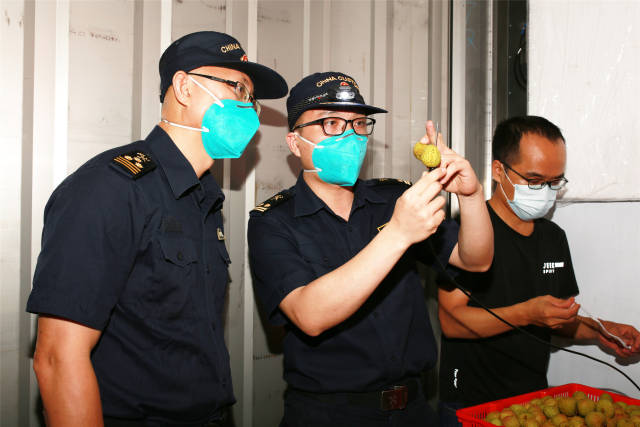 海關部門對廉江荔枝進行出口檢驗,。