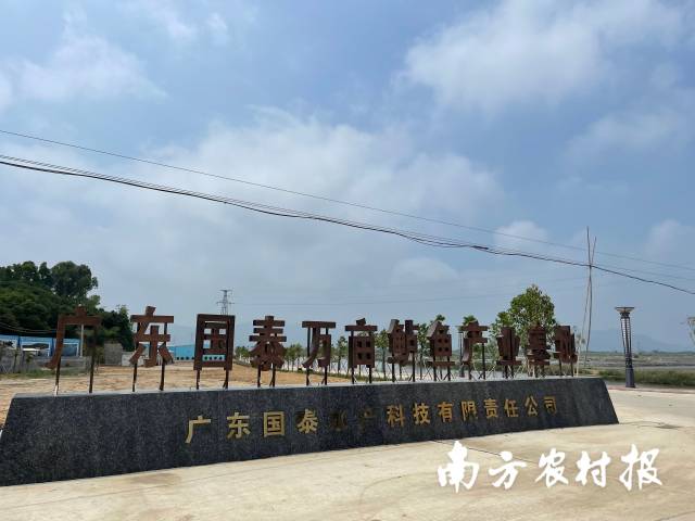 0  南方农村报 孙岁寒 拍摄