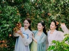 寻路农遗丨有了蝉鸣荔熟，广东才是岭南