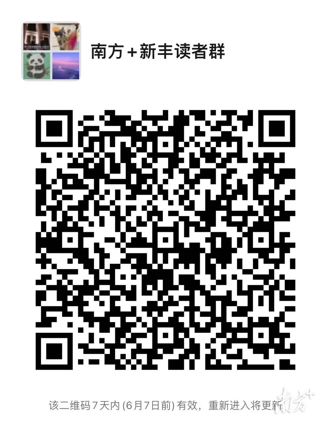 南方+新丰读者群
