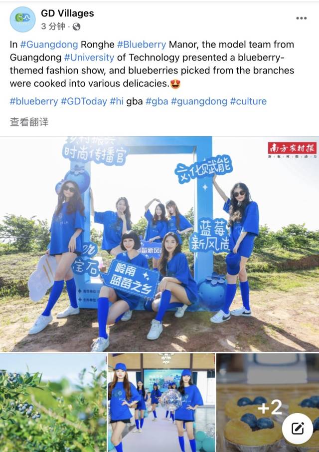 東源藍(lán)莓在海外平臺(tái)GD Villages宣傳推廣