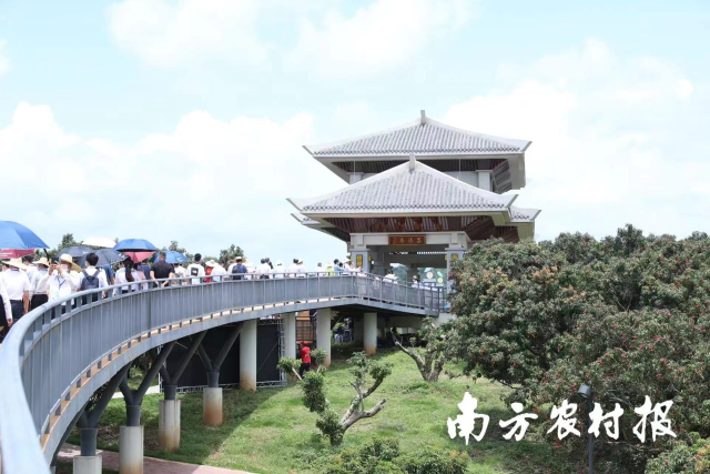 放榜啦！中国荔枝博览馆观景亭喊你来领大奖