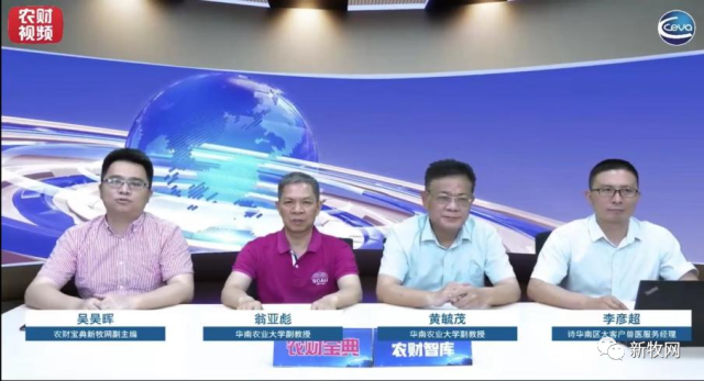 猪价持续回暖，产房管理如何助力猪场提升效益？