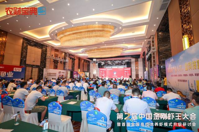 南方农村报 吴秒衡 拍摄