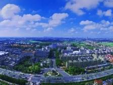 发力新跑道，同行向未来！东涌汽车产业正加速崛起