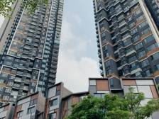 被忽略的好地段！龙岗这3个价格洼地将推新盘，怎么选？｜踩盘日记