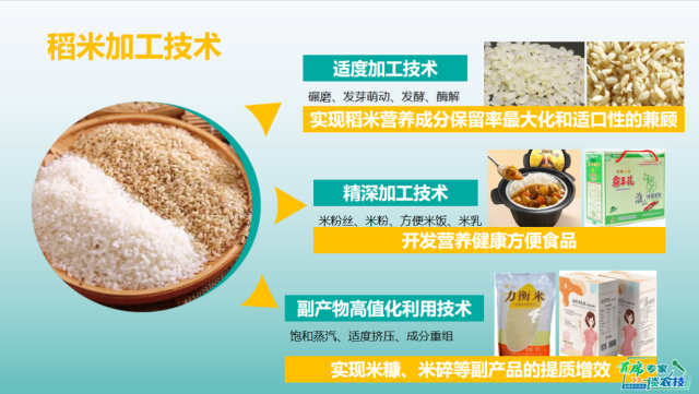 专家授课部分PPT