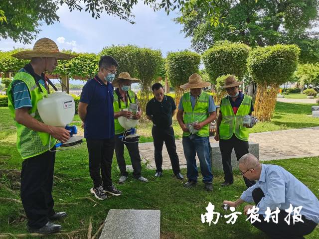 中山市种植业管理科相关负责人与监测机构讨论红火蚁饵剂施用方法