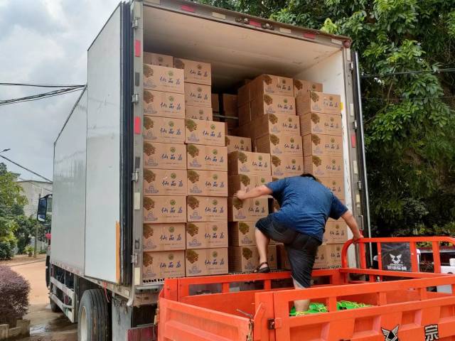打包好的“仙品荔”装车运输。