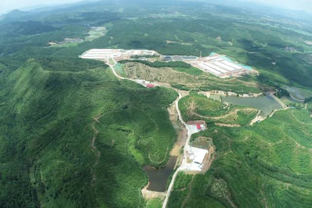 大佑吉中南平台永丰场