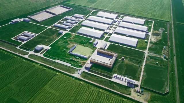 大北农集团大佑吉东北平台北镇二场