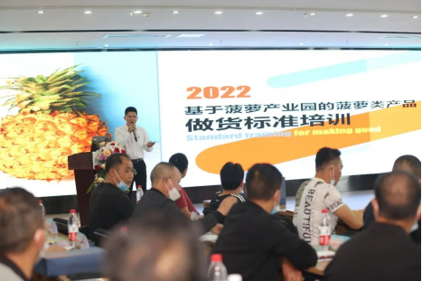 专家培训菠萝产品做货标准