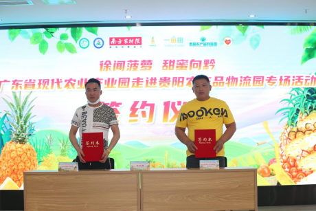现场举行产销对接，签订徐闻菠萝意向销售
