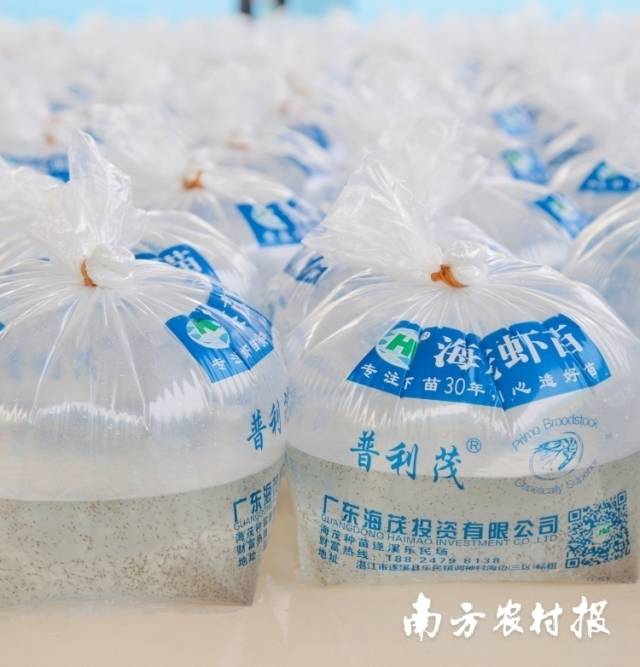 0  南方农村报 蔡思宇 制图