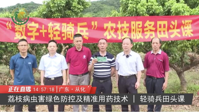 防控荔枝三病两虫，要抓住关键期关键部位丨轻骑兵田头课⑩