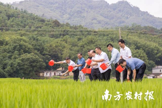 現(xiàn)場舉行禾花魚投苗活動(dòng)  