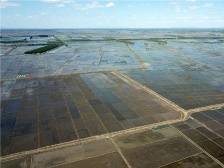 奋力书写黑土地高质量发展新答卷——沿着总书记的足迹之黑龙江篇