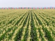 白山松水启新程——沿着总书记的足迹之吉林篇