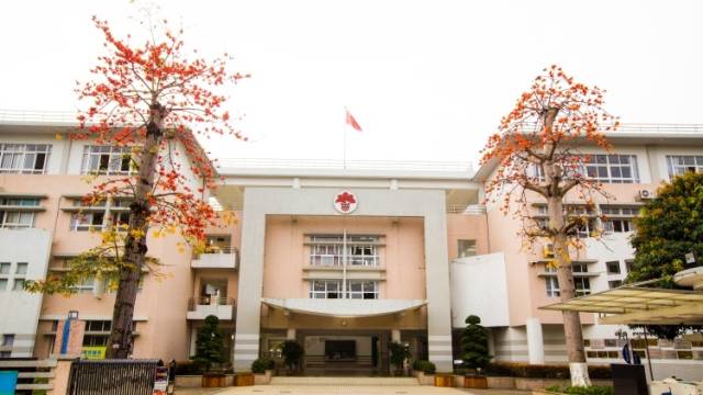 一纸家书|中山援非医生张振山：儿子，愿木棉精神永驻我们心中！