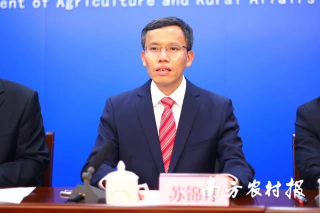 清远市人民政府副市长苏锦丹。  